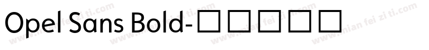 Opel Sans Bold字体转换